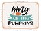 DECORATIVE METAL SIGN - King of the Pumpkins - Vintage Rusty Look